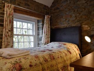 The Mill - Tregaron - 1