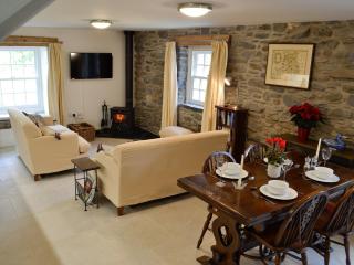 The Mill - Tregaron - 9
