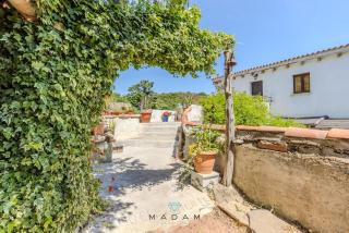 White Cottage - 5