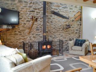 The Hen House - Llanfair-ar-y-bryn - 9