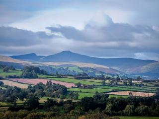 The Hen House - Llanfair-ar-y-bryn - 1