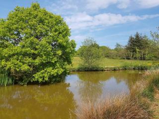 Hazel - Thornbury - 1
