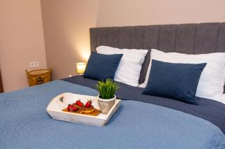 Domus Apartments Ronin - Plovdiv - 7