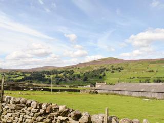 Cuckoo Hill View - Reeth - 1