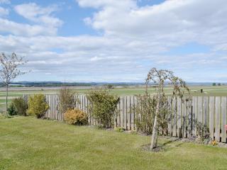 Meadowsweet - Newburgh - 3