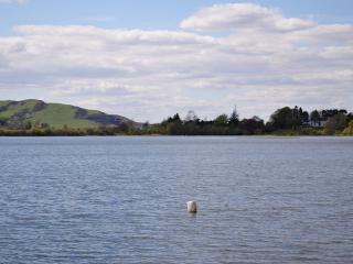 Meadowsweet - Newburgh - 1