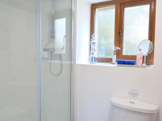 Hen Llaeth - Uk11209 - Cwrt-newydd - 1