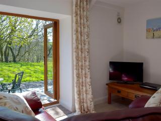 Hen Llaeth - Uk11209 - Cwrt-newydd - 9
