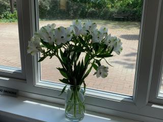 Rosemary Cottage-Uk42032 - Highampton - 1