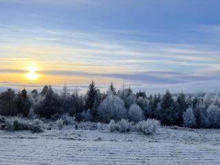 The Carnegie Rooms At Aultnagar Lodge - Uk48666 - Lairg - 4