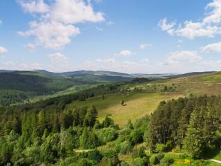 The Carnegie Rooms At Aultnagar Lodge - Uk48666 - Lairg - 1