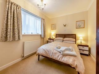 Snowdrop - Llanerch-Aeron - 7