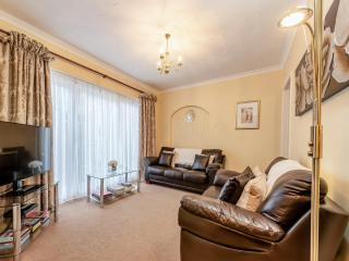 Snowdrop - Llanerch-Aeron - 5