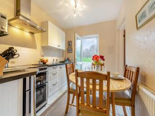 Snowdrop - Llanerch-Aeron - 4