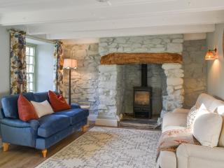 Bluebell Cottage - Bodmin - 8