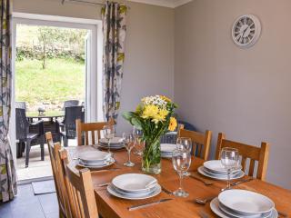 Bryn Derwen - Llanfair - 4