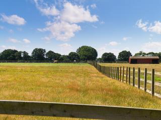 Wild Grape Lodge - Fritton - 8