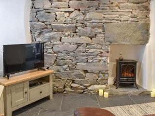 Ugly Duckling Cottage - Broughton-in-Furness - 9