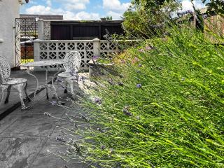 Cwtch Cottage - Cardiff - 2