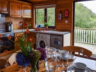 Catkin Lodge - Uk39646 - Lunga - 4