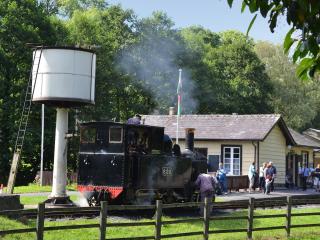 Celyn Bach - Uk37083 - Llanwddyn - 5