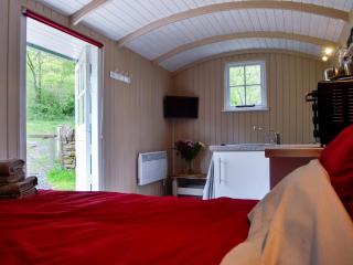 Mountain View - Llanthony - 7