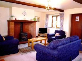 Stildon Manor Cottage - Pensax - 9
