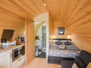 Cae Bitfel - Cottage - Llanwddyn - 9