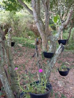 Chácara Encanto do Luar casa de 2 quartos - 7