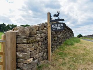 Deer Park Barn - Uk33323 - Reeth - 9