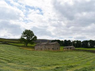 Deer Park Barn - Uk33323 - Reeth - 7