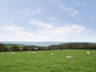 Arforwest - Llangranog - 3