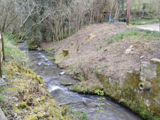 Bridge End Cottage - Cregrina - 5