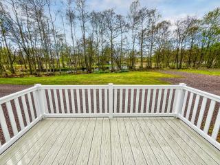 Woodland Serenity - Edzell - 1