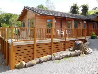 Ransome Lodge - High Nibthwaite - 1