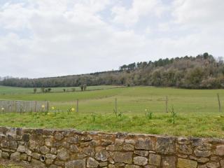 Honey Cottage - Newland - 1