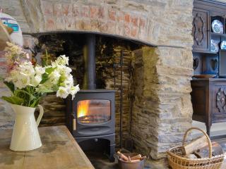 Annies Cottage - Buckland Monachorum - 9