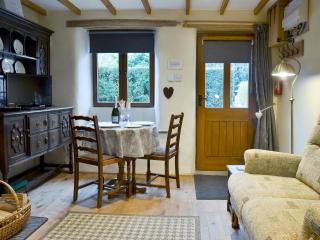 Annies Cottage - Buckland Monachorum - 8