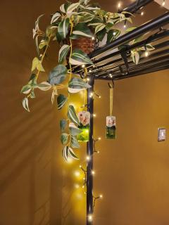 Tranquil Lake District Village Apartment - St Bees - 8