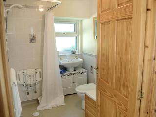 Old Midoxgate Farmhouse - Calrossie - 9