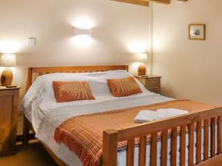 Rhydlanfair Cottage - Capel Garmon - 3