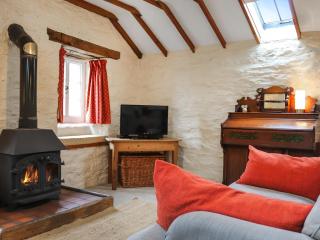Rhydlanfair Cottage - Capel Garmon - 7