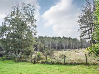 The Chalet - Ukc5786 - Nethy Bridge - 3