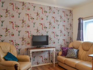 The Snug - Aberaeron - 8