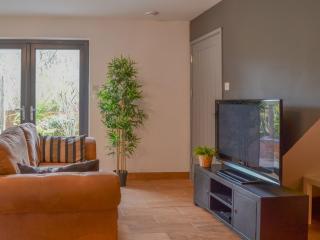 River Lodge Annexe - Rhondda - 9