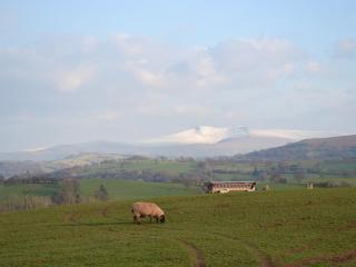 Upper Ffinnant - Aber-Brân - 1