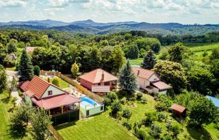 Villa Magic by Villas Guide - Jalžabet - 9