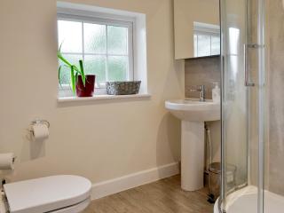 Ty Newydd Y Graig - 28017 - Tremeirchion - 5