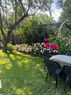 Villa Denizci - Sapanca - 5