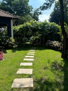 Villa Denizci - Sapanca - 1